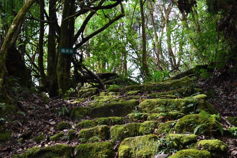 c16e7217e1c9c9012d5146a02b666477_1A0j180000014rdg81B66